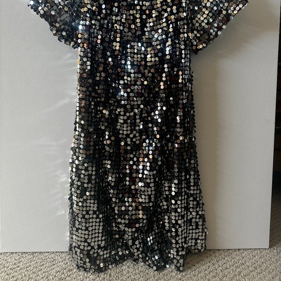 Silver Sequins Dress - Picture 2 of 2